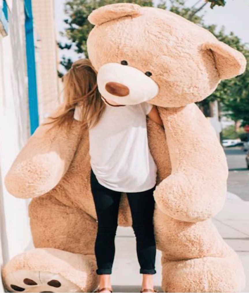 Giant Teddy Street Carry 2.JPG